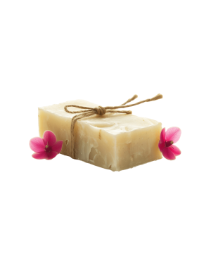 Body Scrub Soap