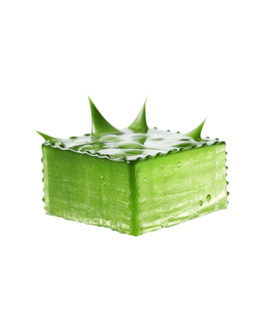 Green Gel Aloe Vera Soap